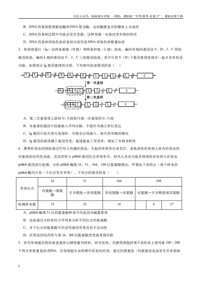 《专题23生物的变异（原卷版)_06-生物-高考总复习_一轮复习_2024年_2024年高考生物一轮复习重难点专项突破_资料》第5页预览