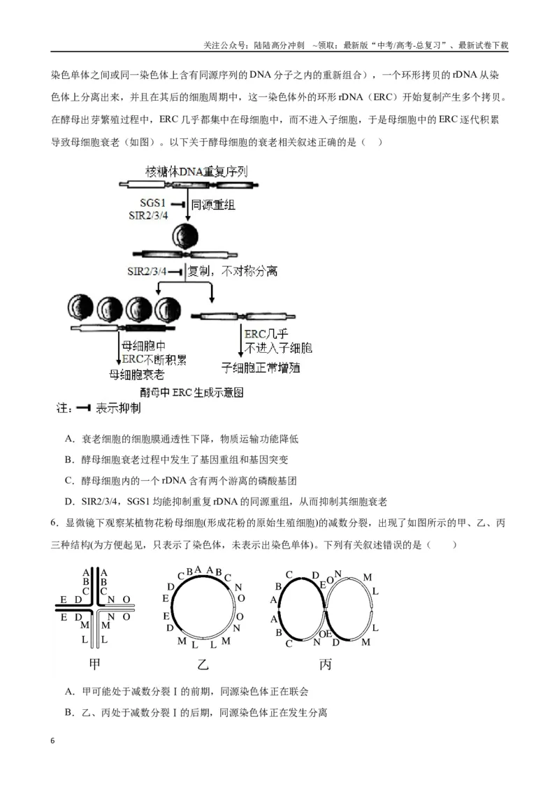 《专题23生物的变异（原卷版)_06-生物-高考总复习_一轮复习_2024年_2024年高考生物一轮复习重难点专项突破_资料》第6页预览