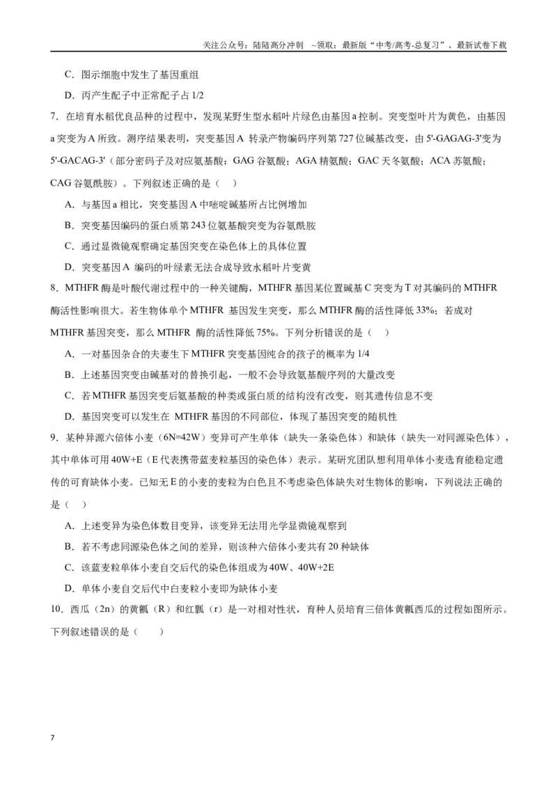 《专题23生物的变异（原卷版)_06-生物-高考总复习_一轮复习_2024年_2024年高考生物一轮复习重难点专项突破_资料》第7页预览