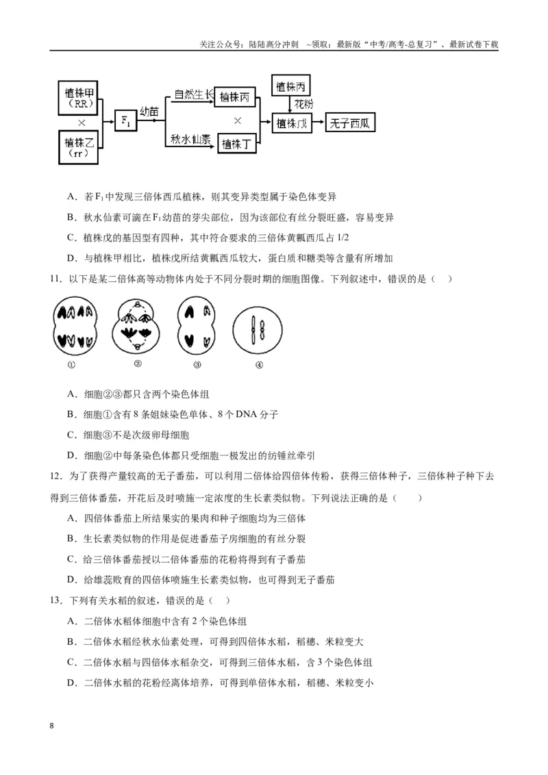 《专题23生物的变异（原卷版)_06-生物-高考总复习_一轮复习_2024年_2024年高考生物一轮复习重难点专项突破_资料》第8页预览