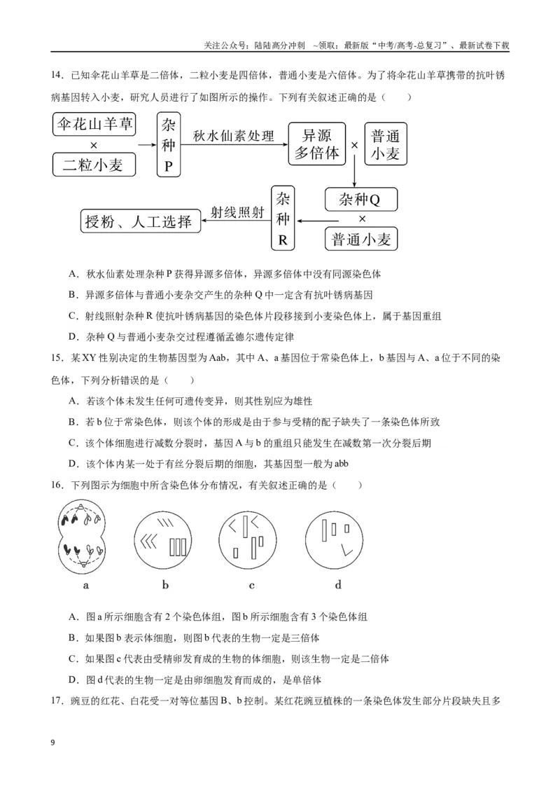 《专题23生物的变异（原卷版)_06-生物-高考总复习_一轮复习_2024年_2024年高考生物一轮复习重难点专项突破_资料》第9页预览