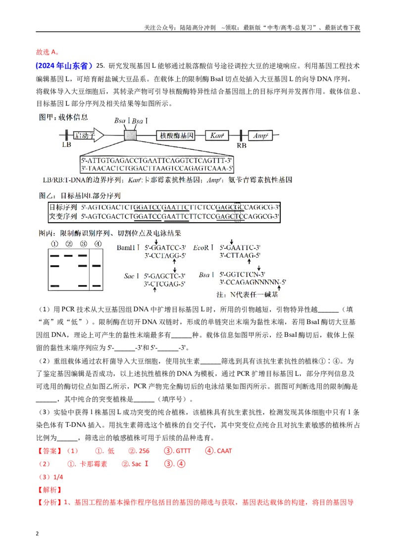 《专题18基因工程（教师版）_06-生物-高考总复习_专项复习_2025年_2025年高考真题和模拟题生物分类汇编（全国通用）》第2页预览