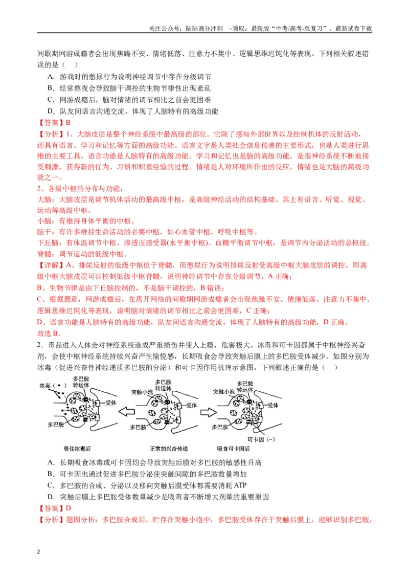 《专题17神经调节（解析版）_06-生物-高考总复习_专项复习_2024年_2024年高考生物经典小题必刷_资料》第2页预览