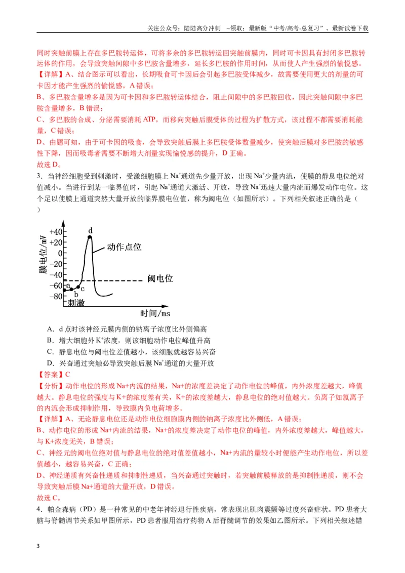 《专题17神经调节（解析版）_06-生物-高考总复习_专项复习_2024年_2024年高考生物经典小题必刷_资料》第3页预览