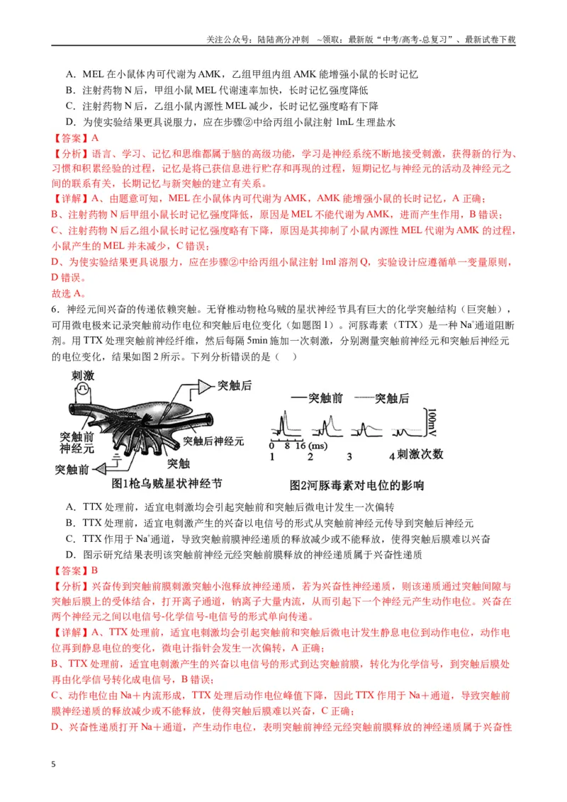 《专题17神经调节（解析版）_06-生物-高考总复习_专项复习_2024年_2024年高考生物经典小题必刷_资料》第5页预览