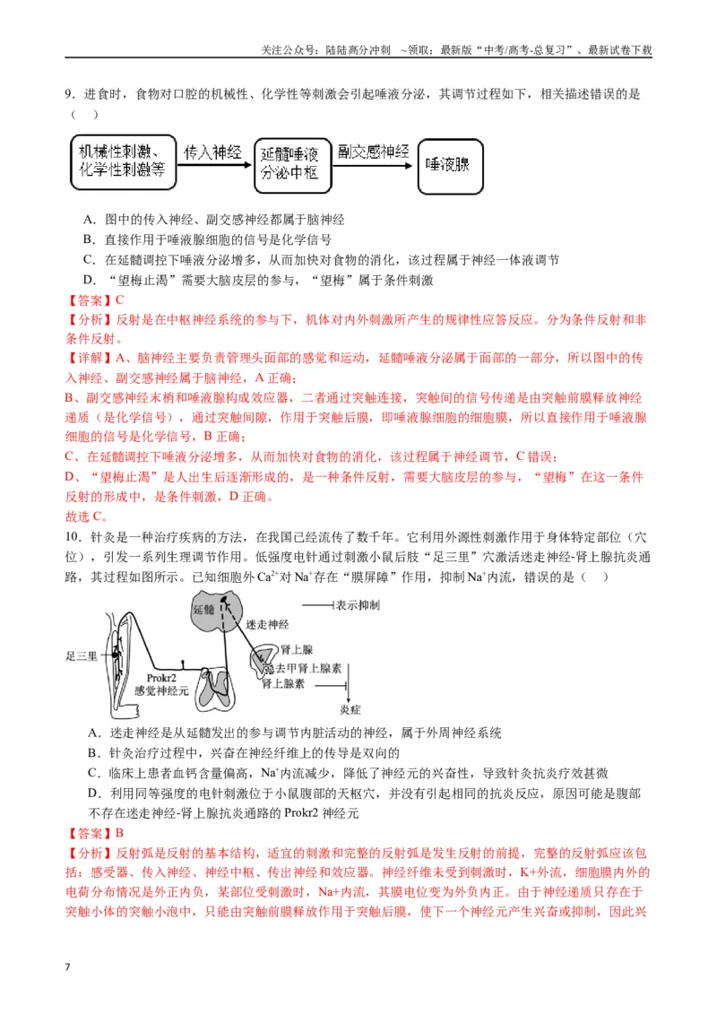 《专题17神经调节（解析版）_06-生物-高考总复习_专项复习_2024年_2024年高考生物经典小题必刷_资料》第7页预览