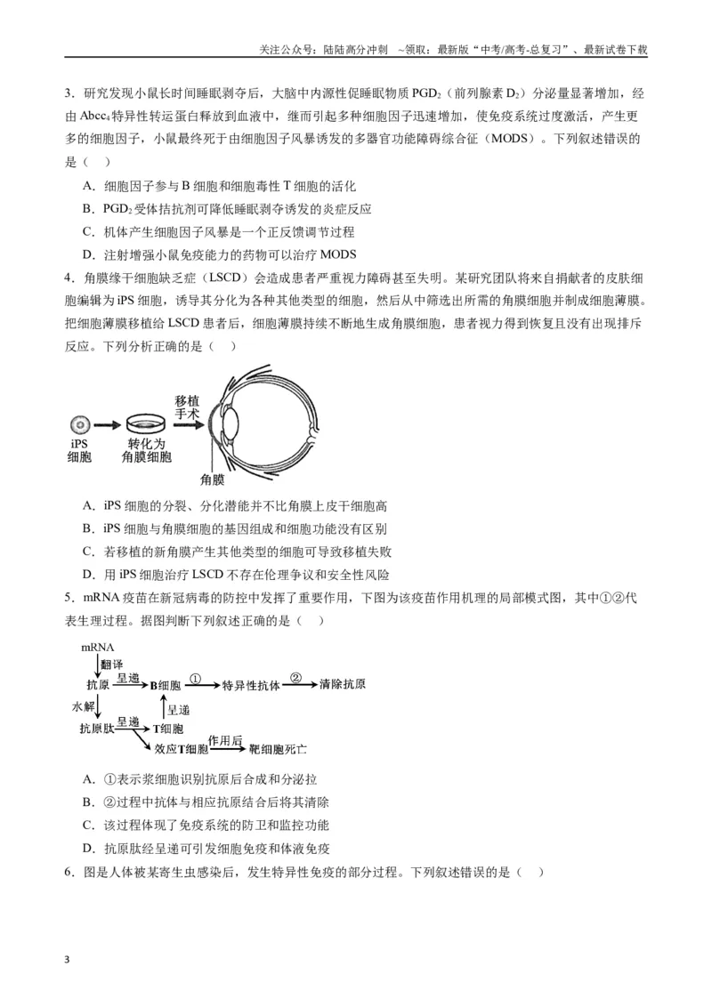 《专题19免疫调节（原卷版）_06-生物-高考总复习_专项复习_2024年_2024年高考生物经典小题必刷_资料》第3页预览