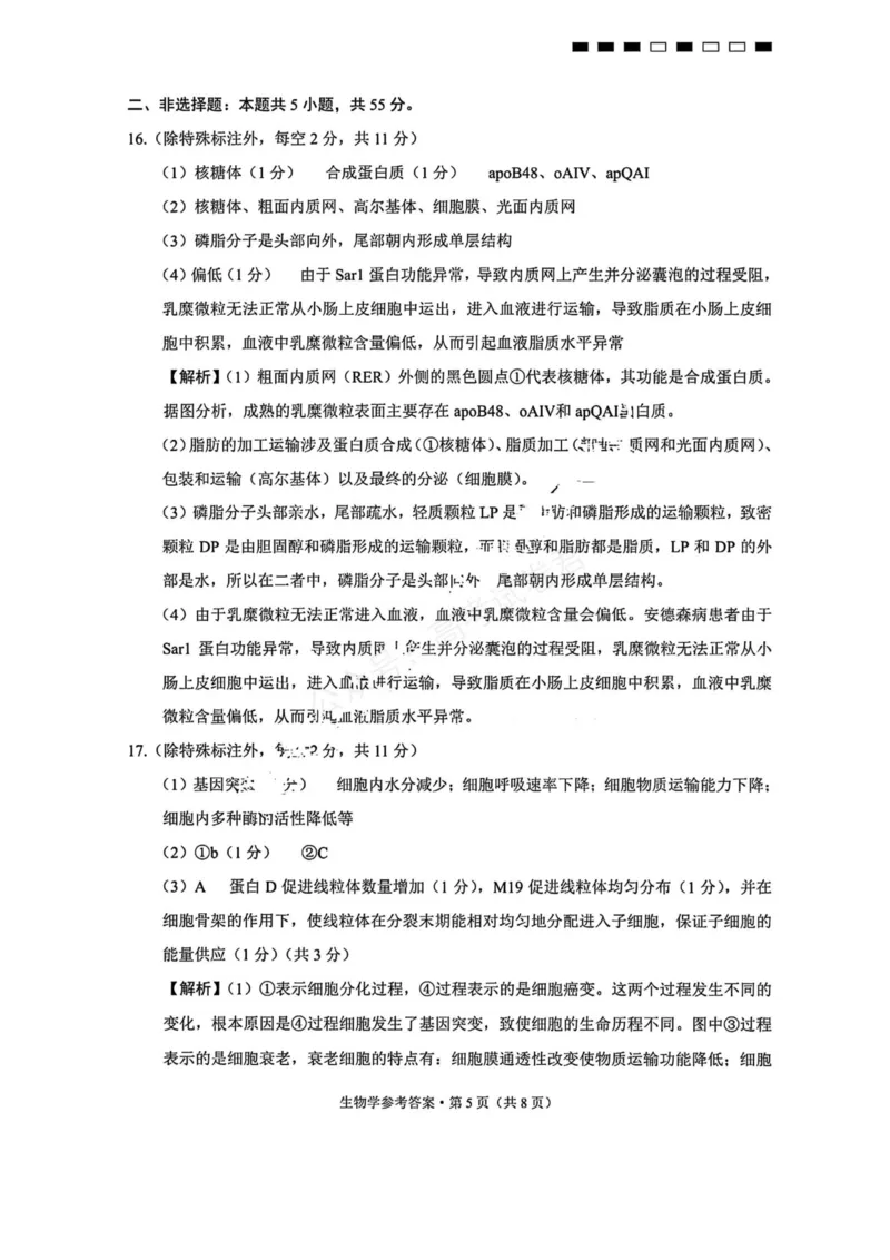 《生物_重庆巴蜀中学高三9月高考适应性月考卷（二）_答案_小初高学习资料合集（每天更新）_重庆巴蜀月考二2026届重庆巴蜀中学高三9月高考适应性月考卷（二）全科》第5页预览