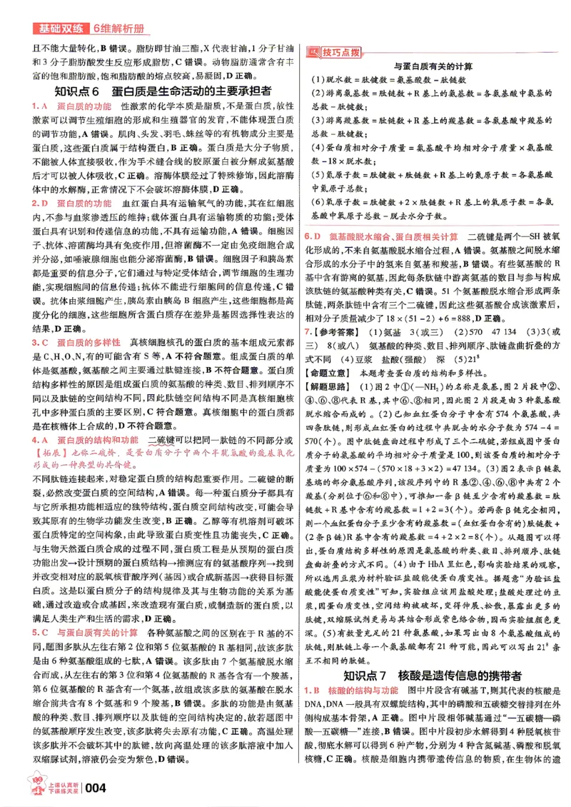 《生物6纬解析册_小初高学习资料合集（每天更新）_2027版《天星高考基础双练》_2027版高考《天星基础双练》高考基础练+教材基础练（生物）》第6页预览