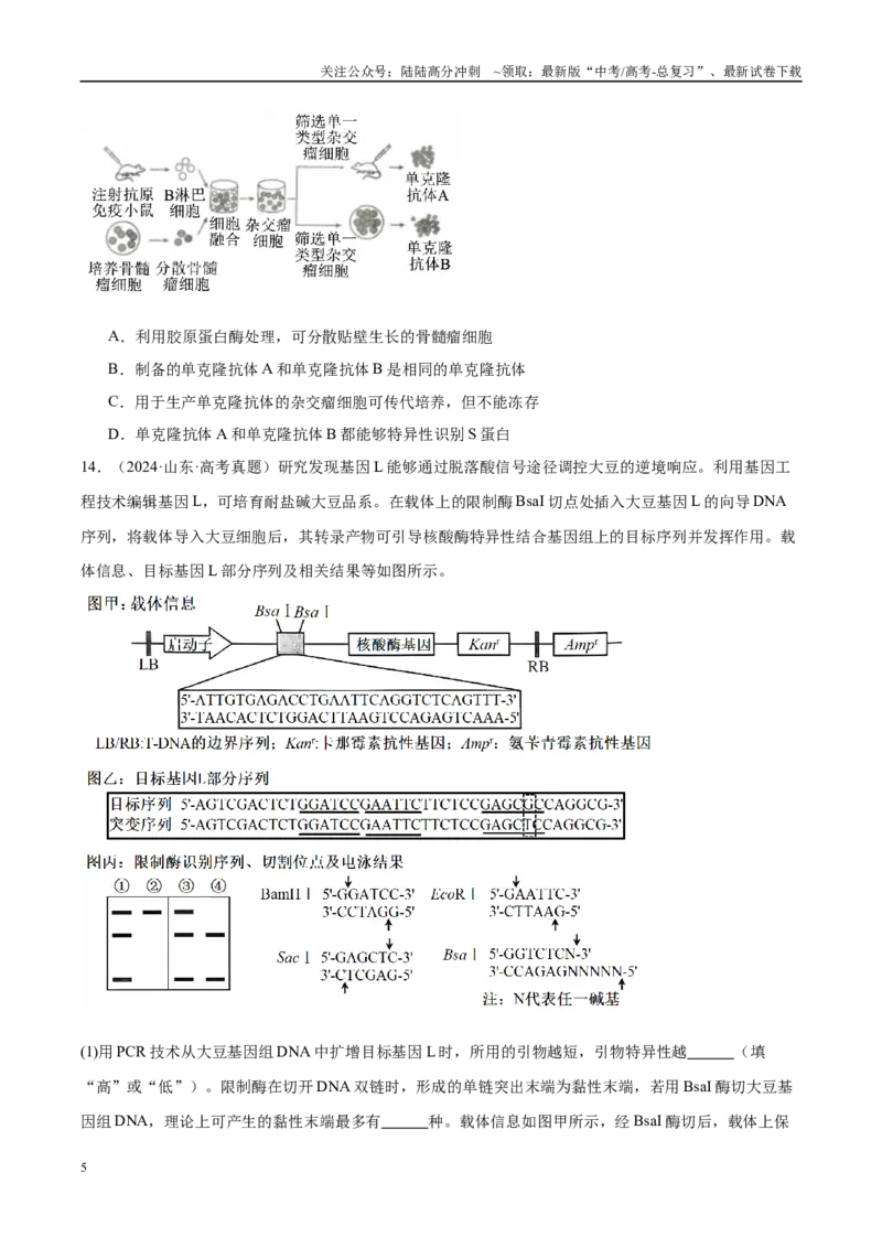 《专题19生物技术与工程（学生版）_06-生物-高考总复习_一轮复习_2025年_2025年高考生物一轮复习考点精讲精练（新高考通用）》第5页预览
