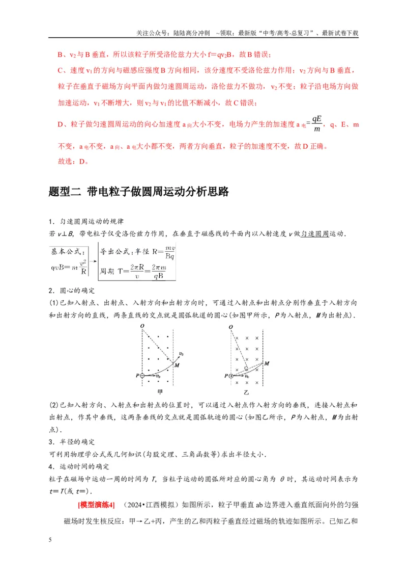 《专题20磁场对运动电荷的作用（解析版）_04-物理-高考总复习_专项复习_2025年_2025新版高考物理复习知识点梳理加题型归纳原卷加解析_资料》第5页预览
