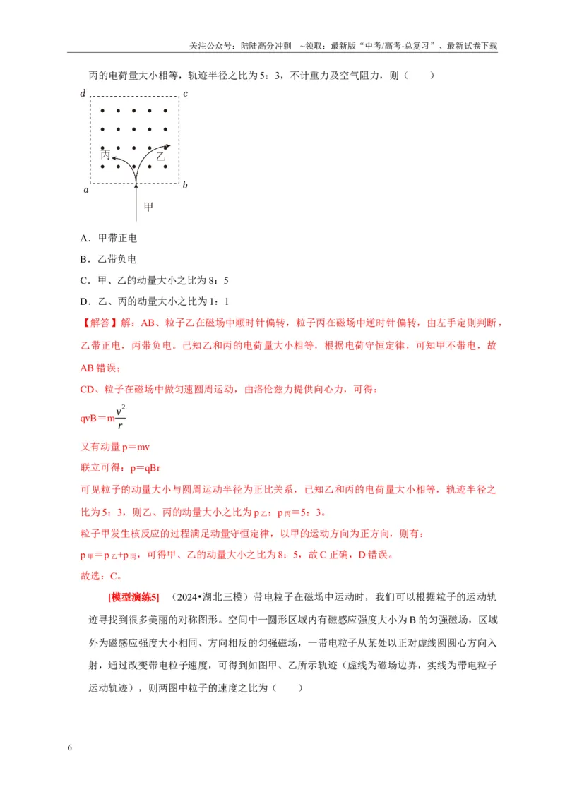 《专题20磁场对运动电荷的作用（解析版）_04-物理-高考总复习_专项复习_2025年_2025新版高考物理复习知识点梳理加题型归纳原卷加解析_资料》第6页预览
