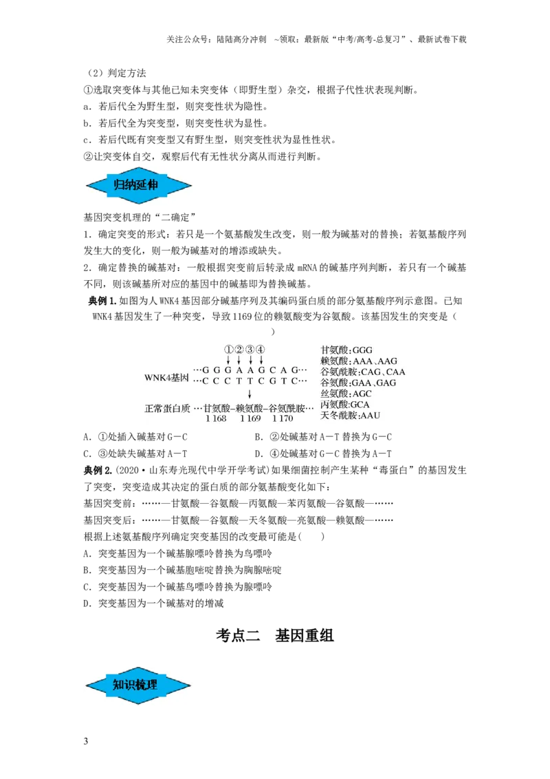 《专题20基因突变和基因重组（串讲）（原卷版）_06-生物-高考总复习_一轮复习_2024年_2024年高考生物一轮复习串讲精练知识点梳理练习题_串讲》第3页预览