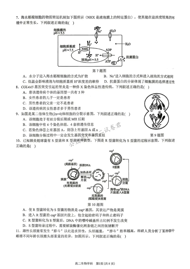 《期末生物_小初高学习资料合集(每天更新)_浙江省温州市十校联盟2025-2026学年高二下学期6月期末(全)_浙江省温州市十校联盟2025-2026学年高二下学期6月期末生物试题含答案》第2页预览
