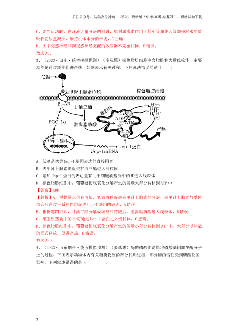 《专题25体液调节（精练）（解析版）_06-生物-高考总复习_一轮复习_2024年_2024年高考生物一轮复习串讲精练知识点梳理练习题_精练》第2页预览