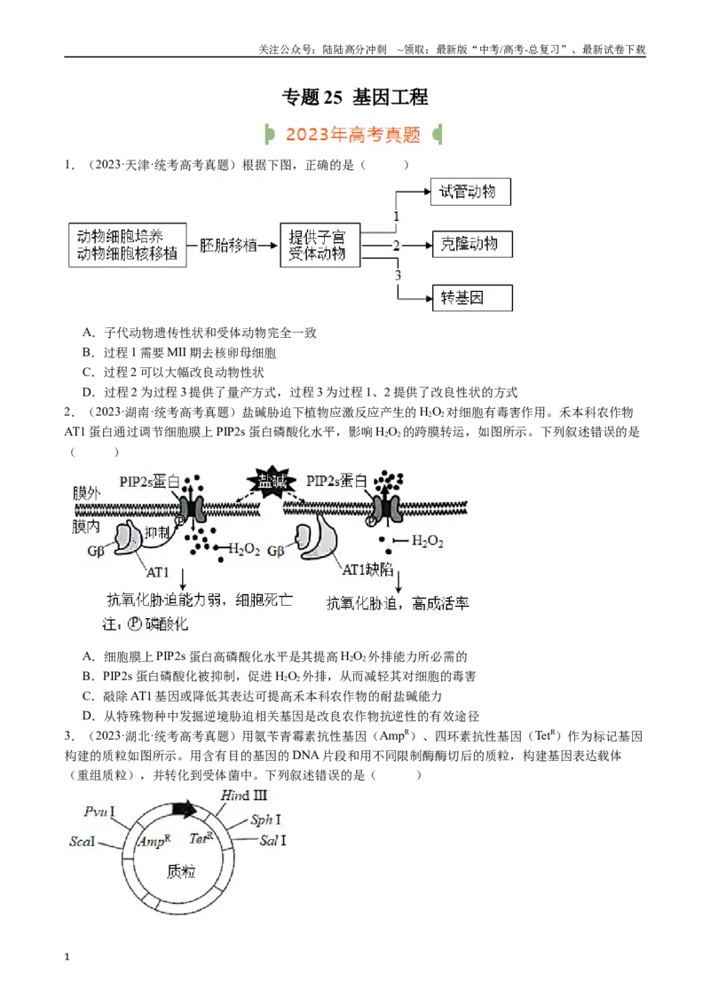 《专题25基因工程（原卷版）_06-生物-高考总复习_专项复习_2024年_2024年新高考生物复习热点考点真题模拟题必刷题练_资料》第1页预览