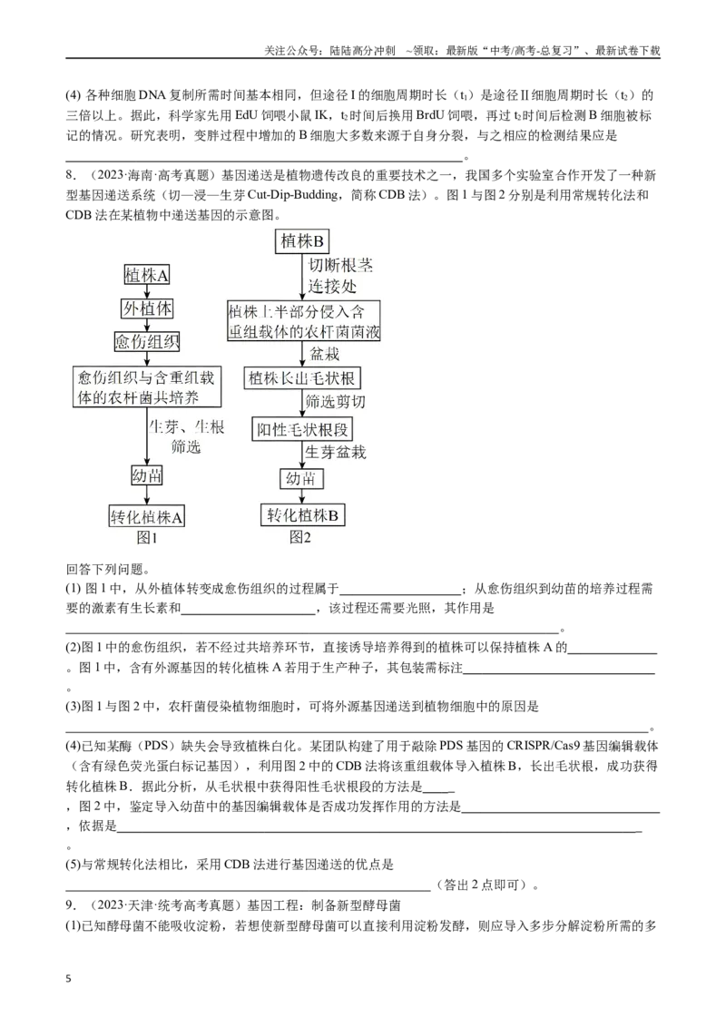 《专题25基因工程（原卷版）_06-生物-高考总复习_专项复习_2024年_2024年新高考生物复习热点考点真题模拟题必刷题练_资料》第5页预览