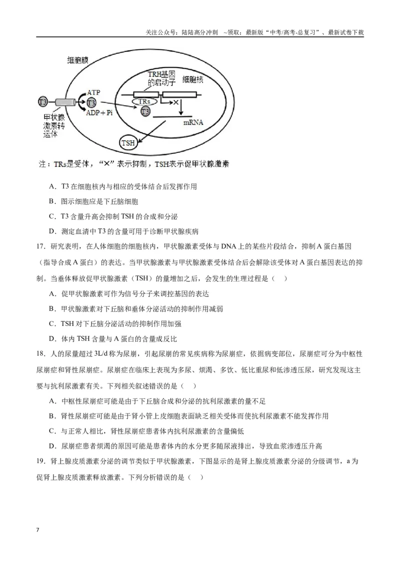 《专题27体液调节（原卷版)_06-生物-高考总复习_一轮复习_2024年_2024年高考生物一轮复习重难点专项突破_资料》第7页预览