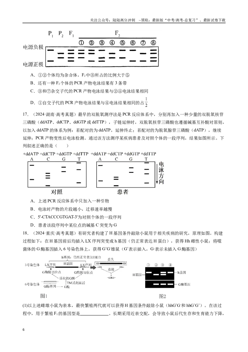 《专题25基因工程-（全国通用）（原卷版）_06-生物-高考总复习_专项复习_2025年_十年（2015-2024）高考生物真题分类汇编（全国通用）》第6页预览