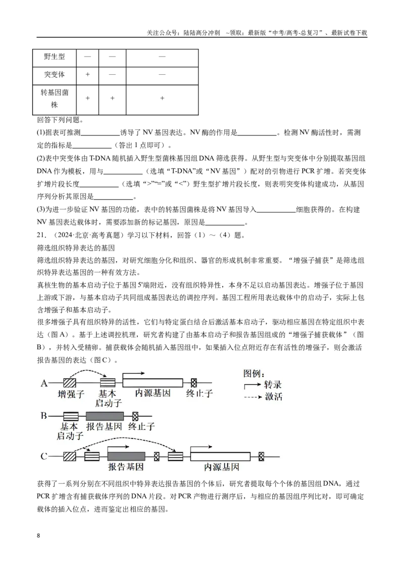 《专题25基因工程-（全国通用）（原卷版）_06-生物-高考总复习_专项复习_2025年_十年（2015-2024）高考生物真题分类汇编（全国通用）》第8页预览