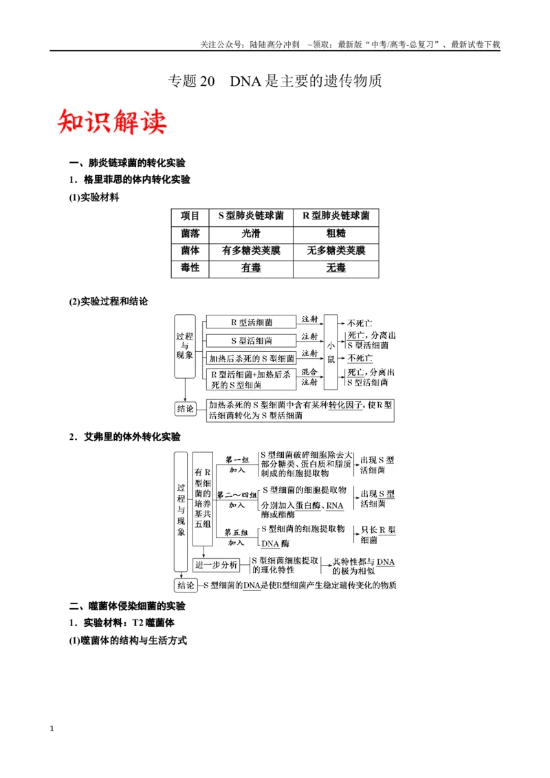 《专题20DNA是主要的遗传物质（原卷版)_06-生物-高考总复习_一轮复习_2024年_2024年高考生物一轮复习重难点专项突破_资料》第1页预览