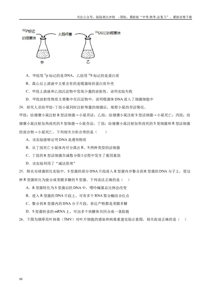 《专题20DNA是主要的遗传物质（原卷版)_06-生物-高考总复习_一轮复习_2024年_2024年高考生物一轮复习重难点专项突破_资料》第10页预览