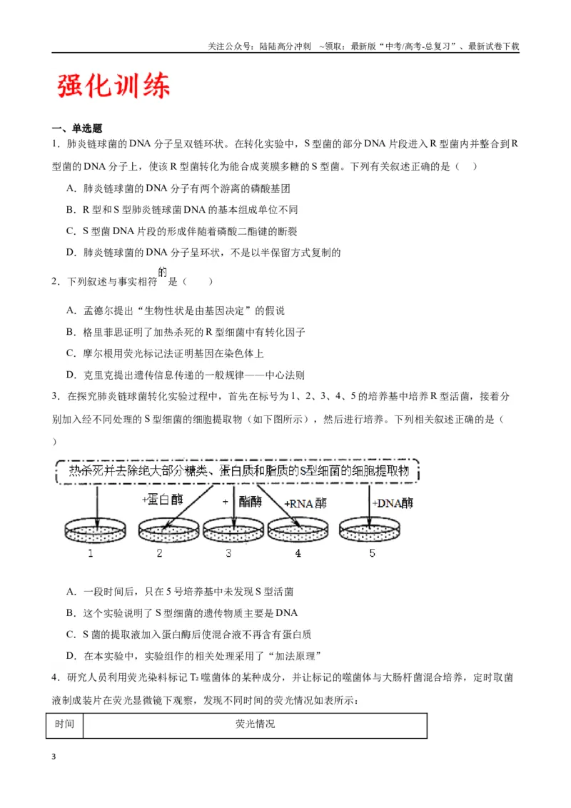 《专题20DNA是主要的遗传物质（原卷版)_06-生物-高考总复习_一轮复习_2024年_2024年高考生物一轮复习重难点专项突破_资料》第3页预览