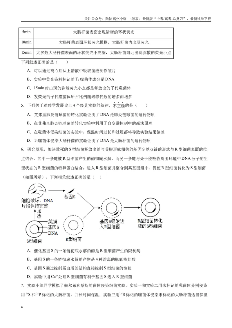 《专题20DNA是主要的遗传物质（原卷版)_06-生物-高考总复习_一轮复习_2024年_2024年高考生物一轮复习重难点专项突破_资料》第4页预览