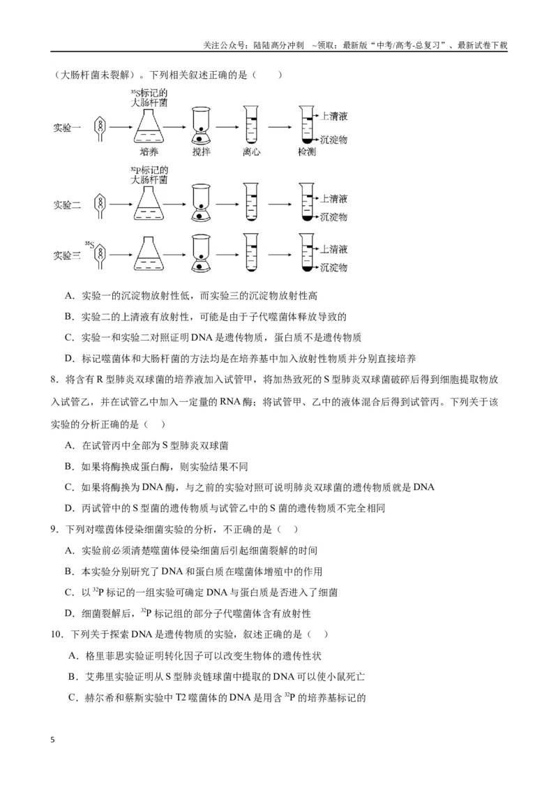 《专题20DNA是主要的遗传物质（原卷版)_06-生物-高考总复习_一轮复习_2024年_2024年高考生物一轮复习重难点专项突破_资料》第5页预览