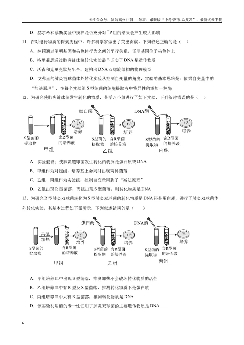 《专题20DNA是主要的遗传物质（原卷版)_06-生物-高考总复习_一轮复习_2024年_2024年高考生物一轮复习重难点专项突破_资料》第6页预览