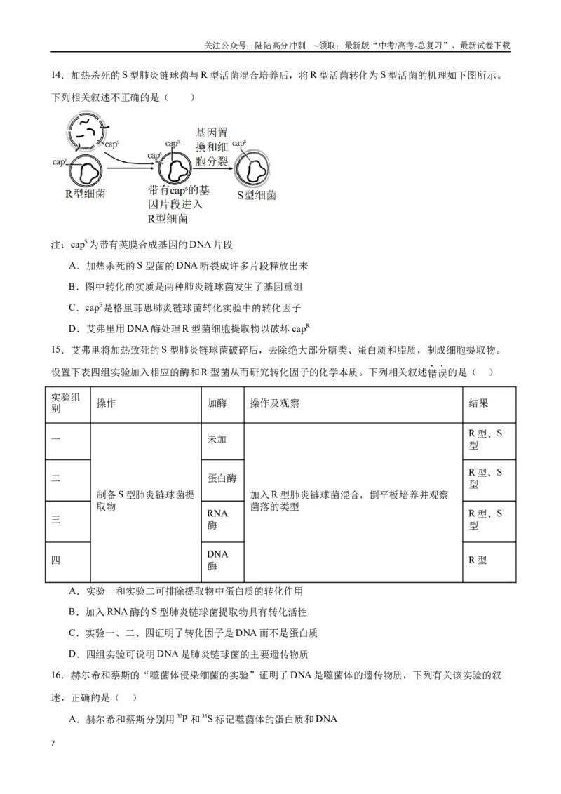 《专题20DNA是主要的遗传物质（原卷版)_06-生物-高考总复习_一轮复习_2024年_2024年高考生物一轮复习重难点专项突破_资料》第7页预览