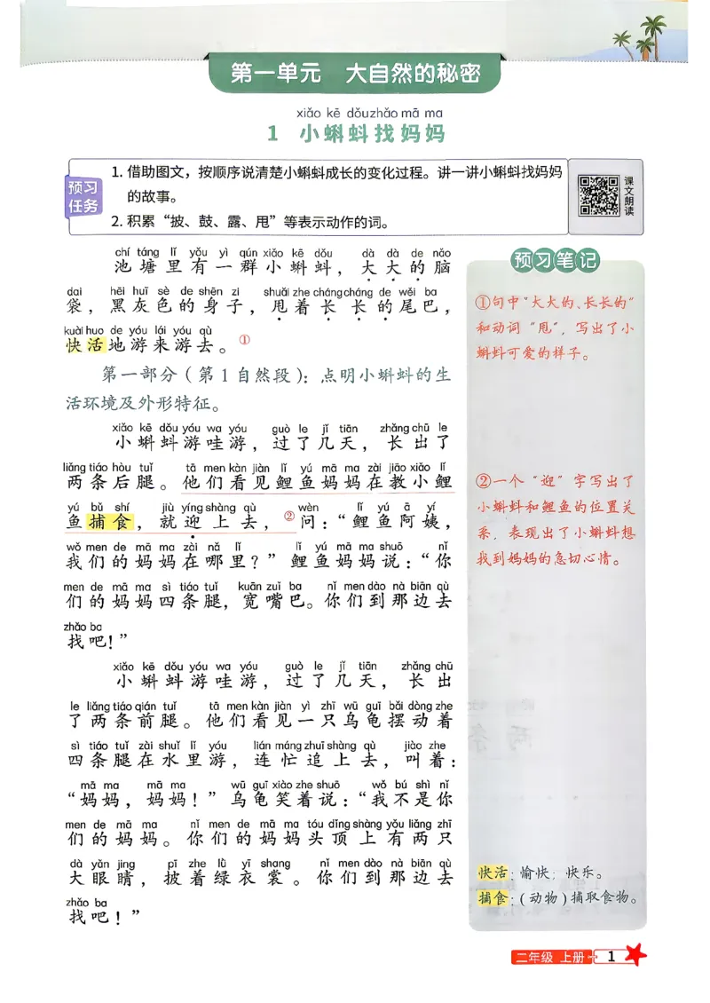 《预习笔记语文一升2_小初高学习资料合集（每天更新）_2026年《阳光同学暑假衔接+预习笔记》语数英全科_语文《阳光同学暑假衔接》26秋》第3页预览