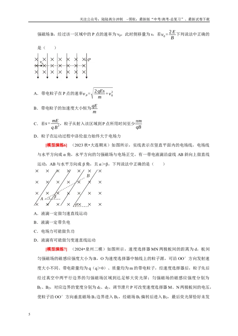 《专题22带电粒子在复合场的运动（原卷版）_04-物理-高考总复习_专项复习_2025年_2025新版高考物理复习知识点梳理加题型归纳原卷加解析_资料》第5页预览