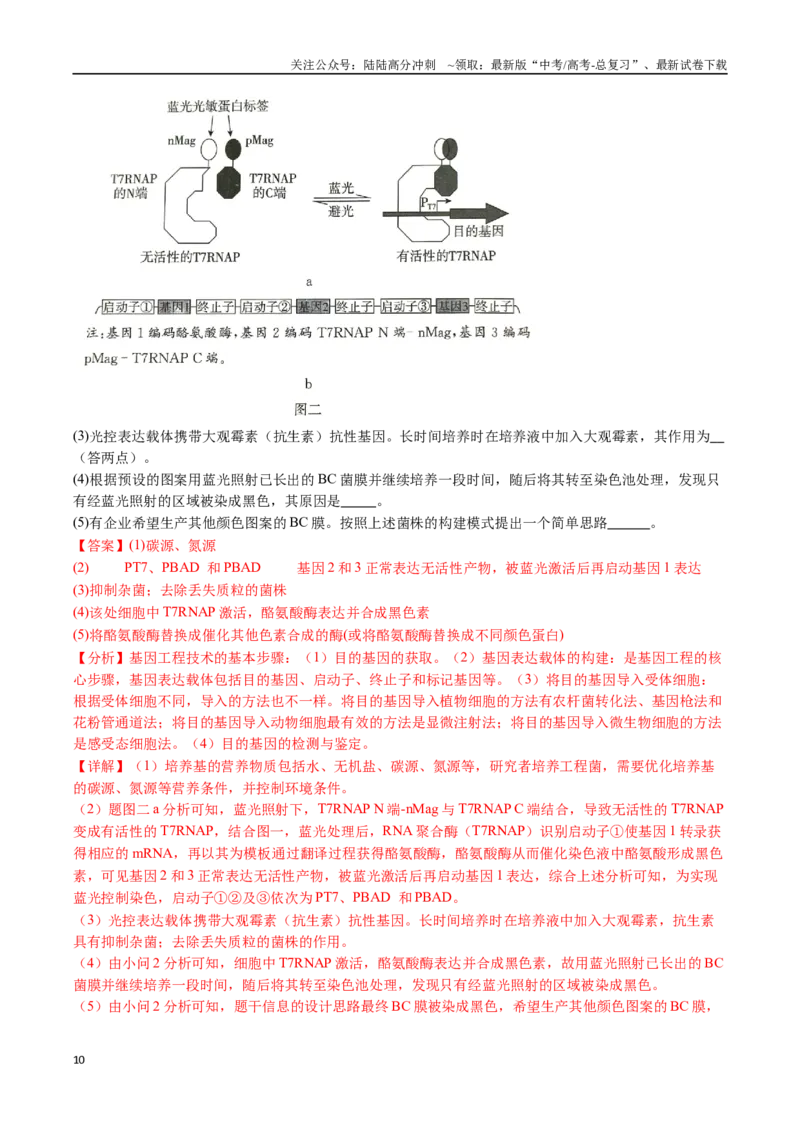 《专题23发酵工程-（全国通用）（解析版）_06-生物-高考总复习_专项复习_2025年_十年（2015-2024）高考生物真题分类汇编（全国通用）》第10页预览