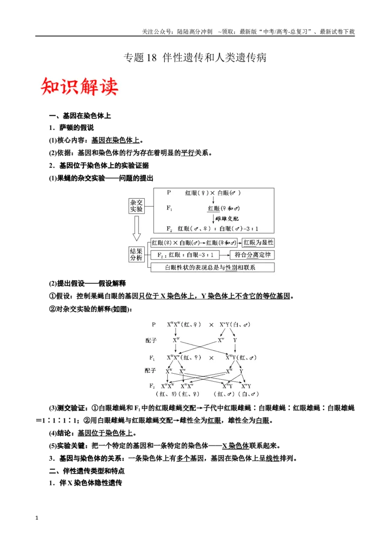 《专题18伴性遗传和人类遗传病（原卷版)_06-生物-高考总复习_一轮复习_2024年_2024年高考生物一轮复习重难点专项突破_资料》第1页预览