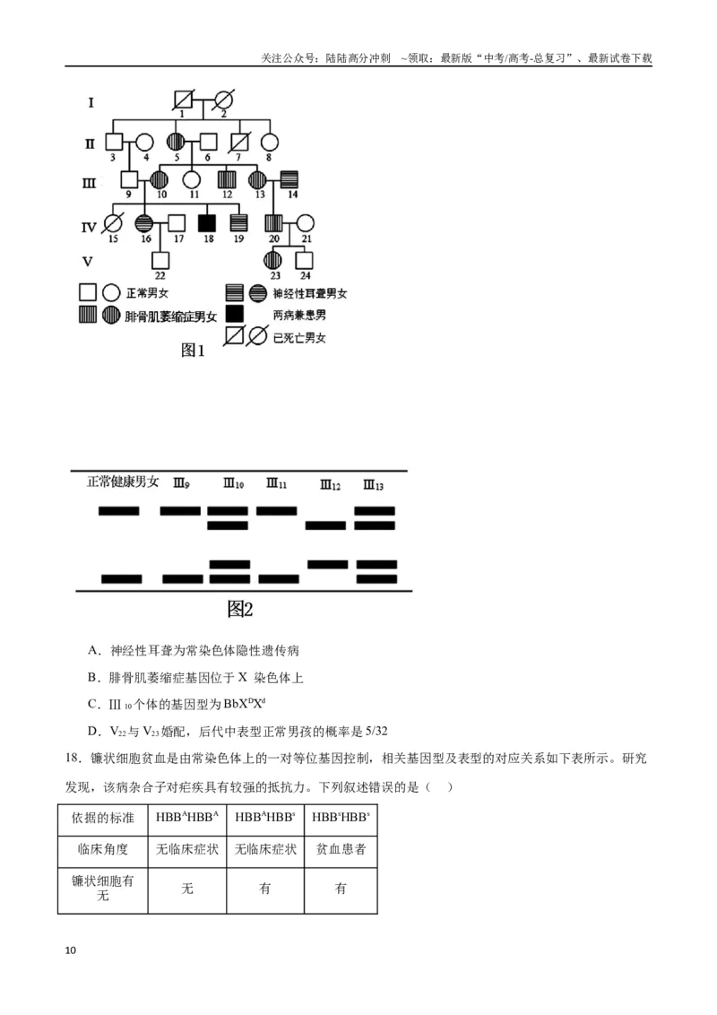 《专题18伴性遗传和人类遗传病（原卷版)_06-生物-高考总复习_一轮复习_2024年_2024年高考生物一轮复习重难点专项突破_资料》第10页预览