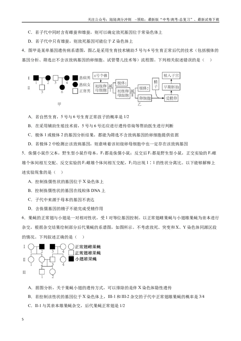 《专题18伴性遗传和人类遗传病（原卷版)_06-生物-高考总复习_一轮复习_2024年_2024年高考生物一轮复习重难点专项突破_资料》第5页预览