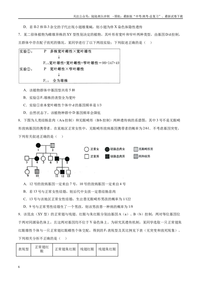 《专题18伴性遗传和人类遗传病（原卷版)_06-生物-高考总复习_一轮复习_2024年_2024年高考生物一轮复习重难点专项突破_资料》第6页预览