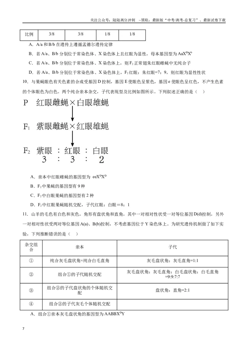 《专题18伴性遗传和人类遗传病（原卷版)_06-生物-高考总复习_一轮复习_2024年_2024年高考生物一轮复习重难点专项突破_资料》第7页预览