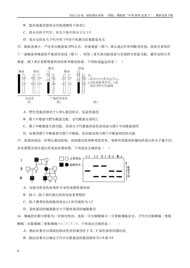《专题18伴性遗传和人类遗传病（原卷版)_06-生物-高考总复习_一轮复习_2024年_2024年高考生物一轮复习重难点专项突破_资料》第8页预览