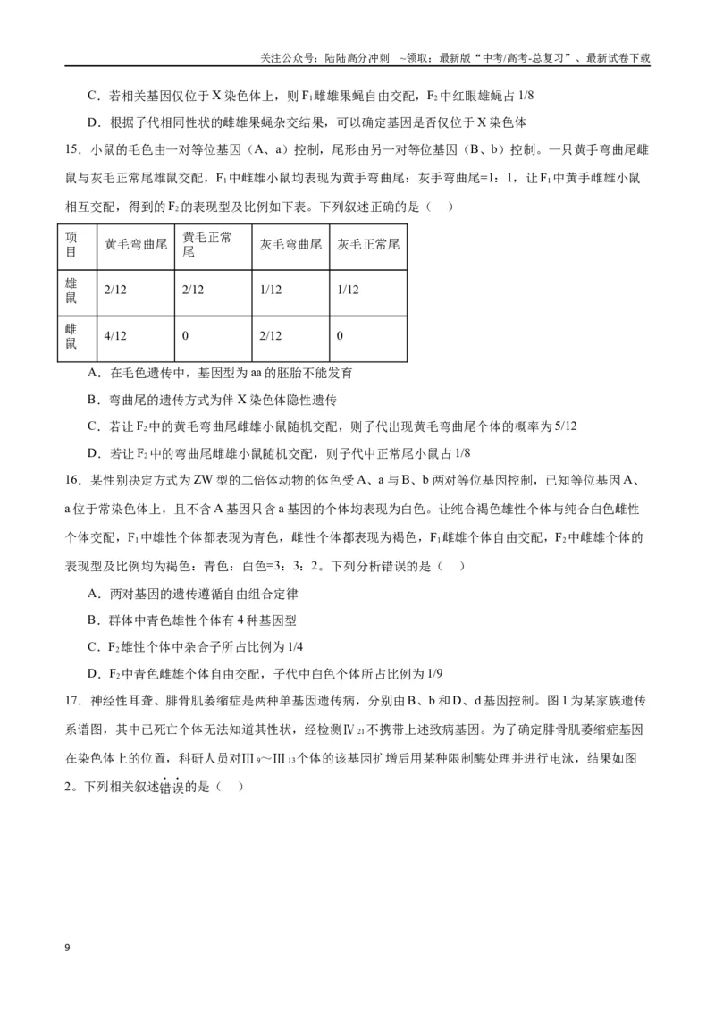 《专题18伴性遗传和人类遗传病（原卷版)_06-生物-高考总复习_一轮复习_2024年_2024年高考生物一轮复习重难点专项突破_资料》第9页预览