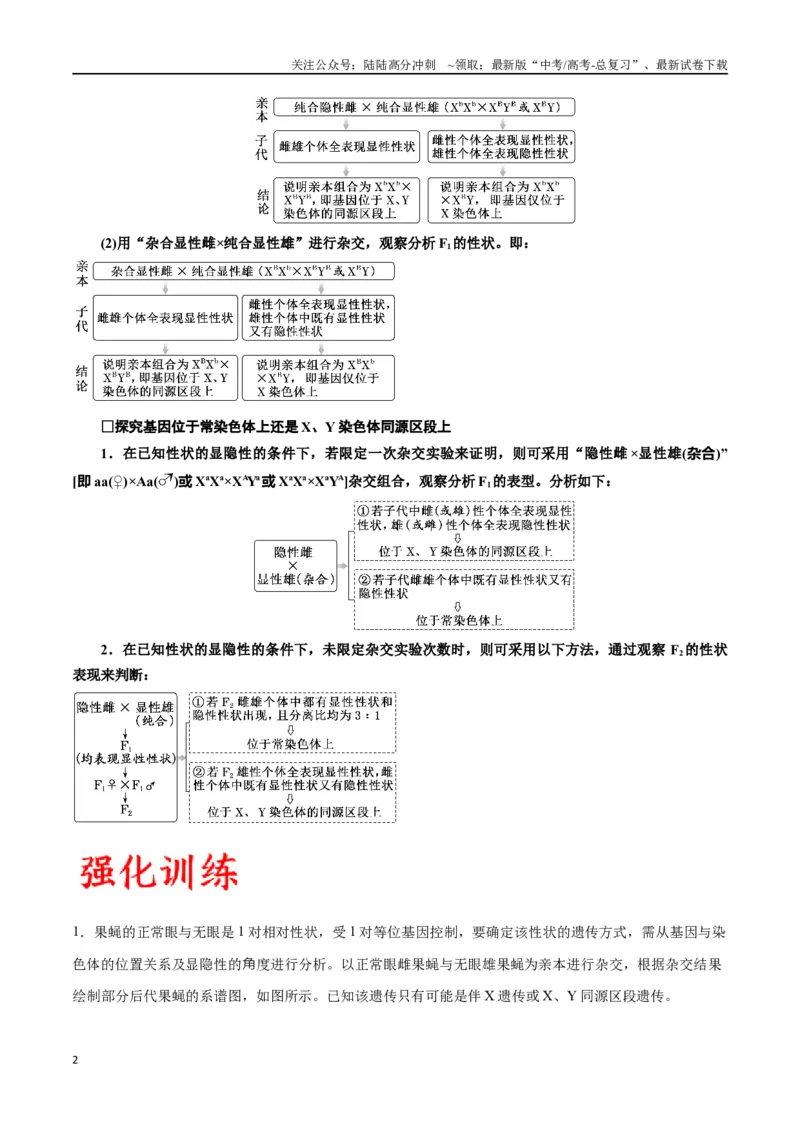 《专题19遗传综合实验分析（原卷版)_06-生物-高考总复习_一轮复习_2024年_2024年高考生物一轮复习重难点专项突破_资料》第2页预览