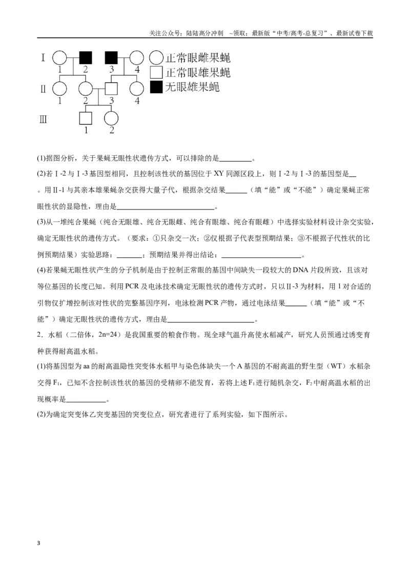《专题19遗传综合实验分析（原卷版)_06-生物-高考总复习_一轮复习_2024年_2024年高考生物一轮复习重难点专项突破_资料》第3页预览