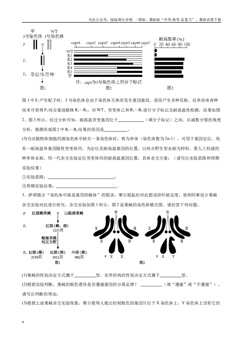 《专题19遗传综合实验分析（原卷版)_06-生物-高考总复习_一轮复习_2024年_2024年高考生物一轮复习重难点专项突破_资料》第4页预览