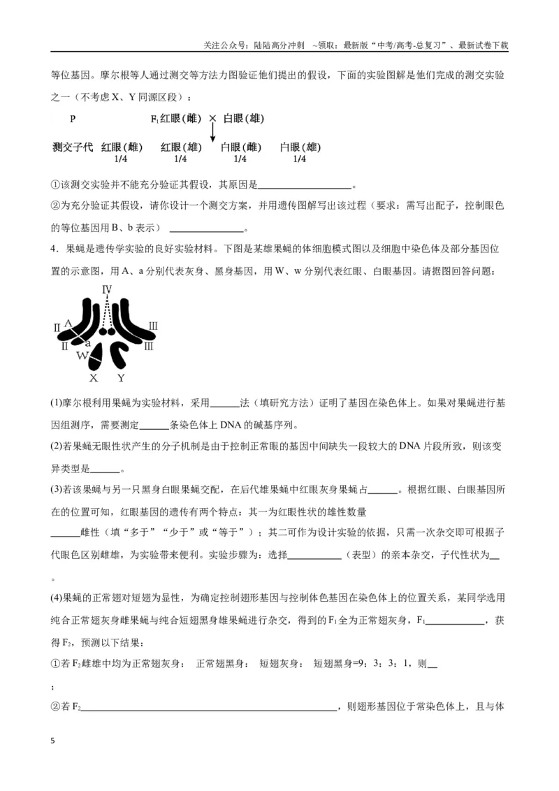 《专题19遗传综合实验分析（原卷版)_06-生物-高考总复习_一轮复习_2024年_2024年高考生物一轮复习重难点专项突破_资料》第5页预览