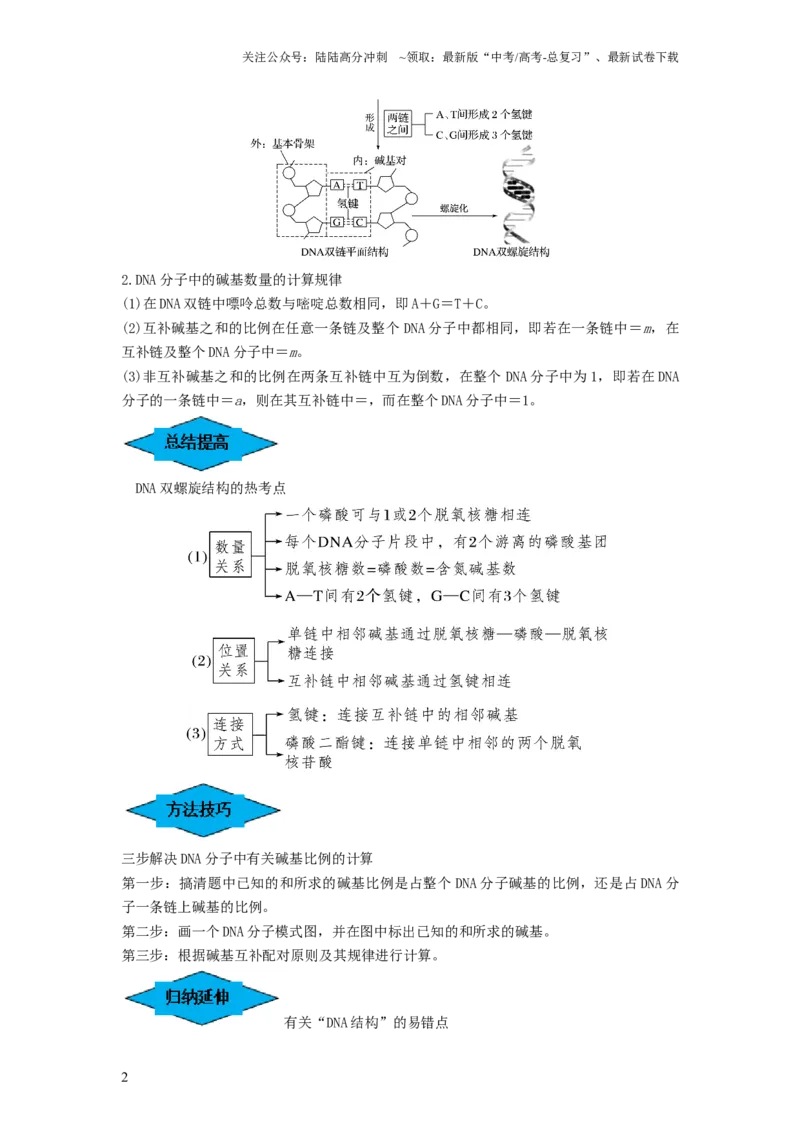 《专题18DNA分子的结构、复制及基因的本质（串讲）（解析版）_06-生物-高考总复习_一轮复习_2024年_2024年高考生物一轮复习串讲精练知识点梳理练习题_串讲》第2页预览