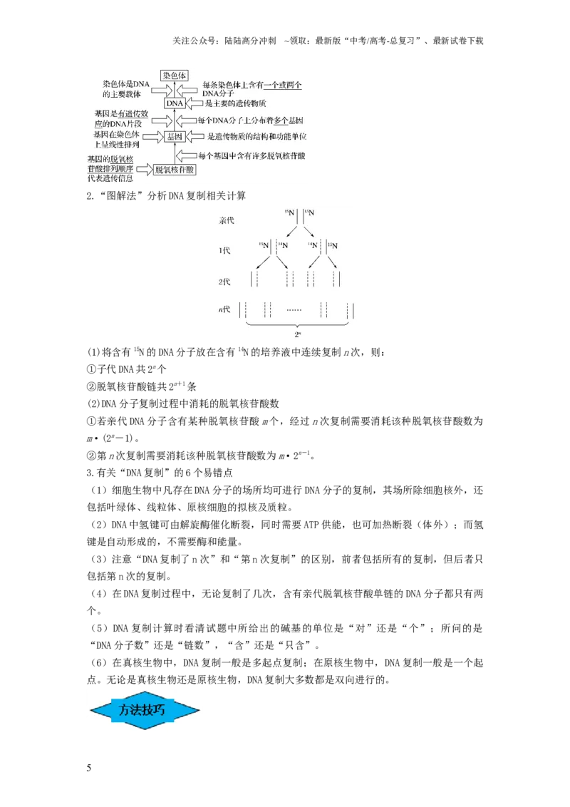 《专题18DNA分子的结构、复制及基因的本质（串讲）（解析版）_06-生物-高考总复习_一轮复习_2024年_2024年高考生物一轮复习串讲精练知识点梳理练习题_串讲》第5页预览