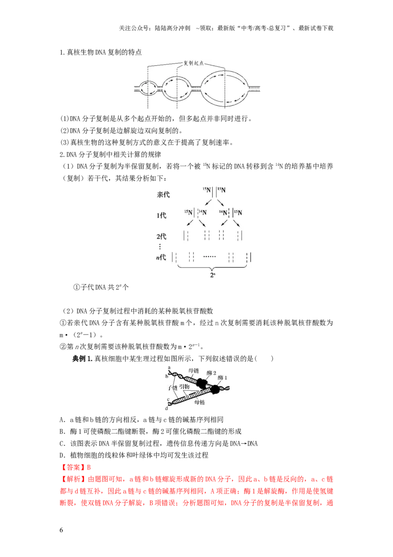 《专题18DNA分子的结构、复制及基因的本质（串讲）（解析版）_06-生物-高考总复习_一轮复习_2024年_2024年高考生物一轮复习串讲精练知识点梳理练习题_串讲》第6页预览