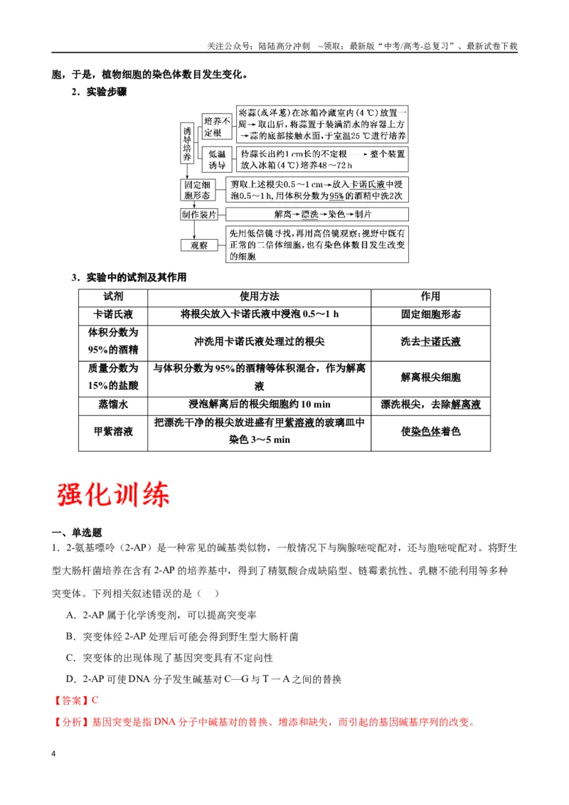 《专题23生物的变异（解析版)_06-生物-高考总复习_一轮复习_2024年_2024年高考生物一轮复习重难点专项突破_资料》第4页预览