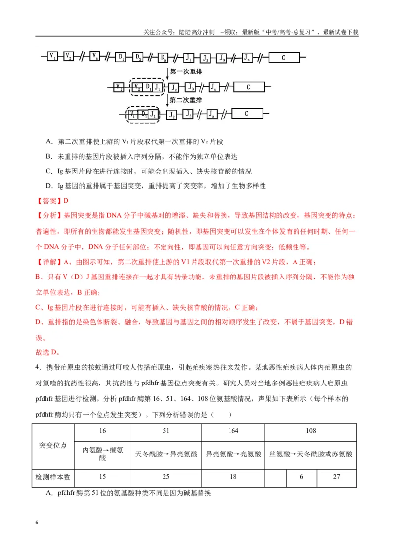 《专题23生物的变异（解析版)_06-生物-高考总复习_一轮复习_2024年_2024年高考生物一轮复习重难点专项突破_资料》第6页预览